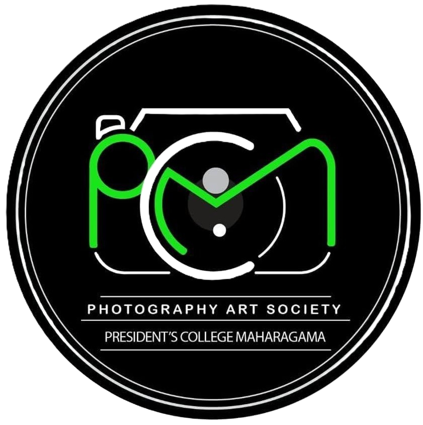 Photo & Art Logo